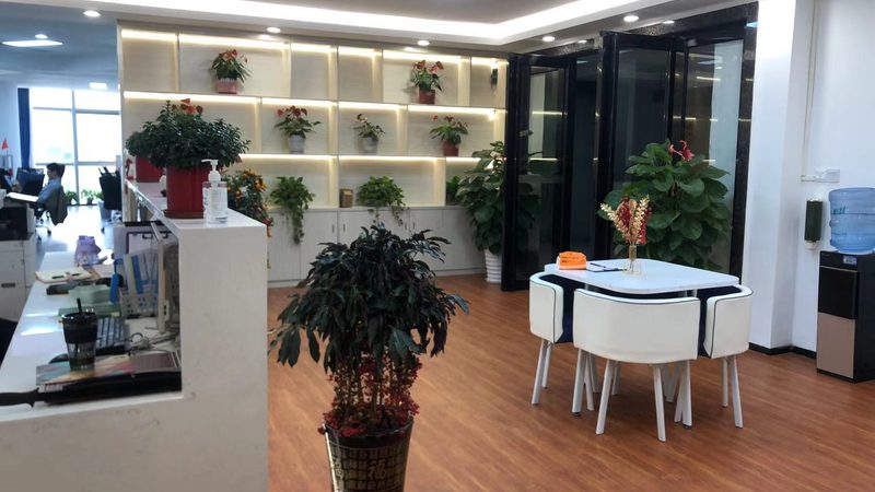 房地产可行性研究报告模板：构建决策的坚实基石**