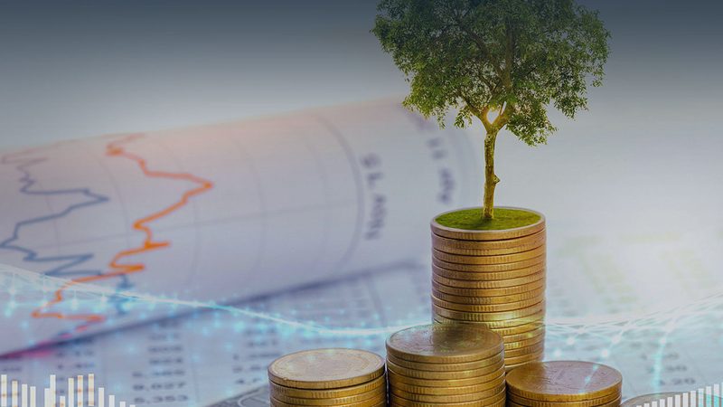 餐饮流程优化咨询收费标准解析：如何精准评估价值